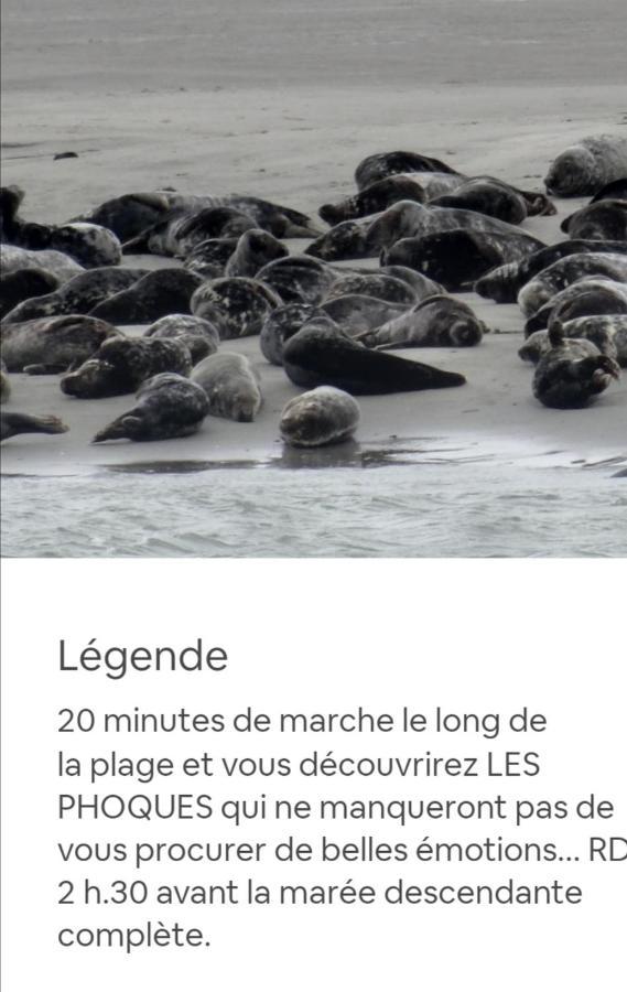 Mini Tarif Pour Un Maxi Confort Berck Bagian luar foto